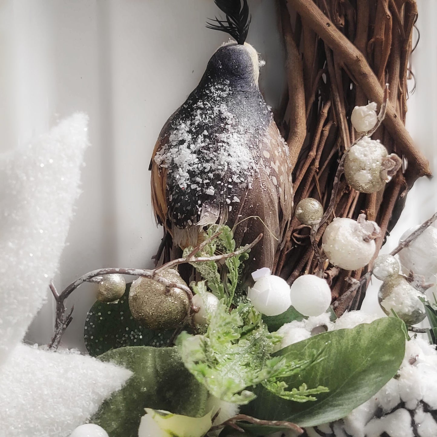 Christmas Morning Frost